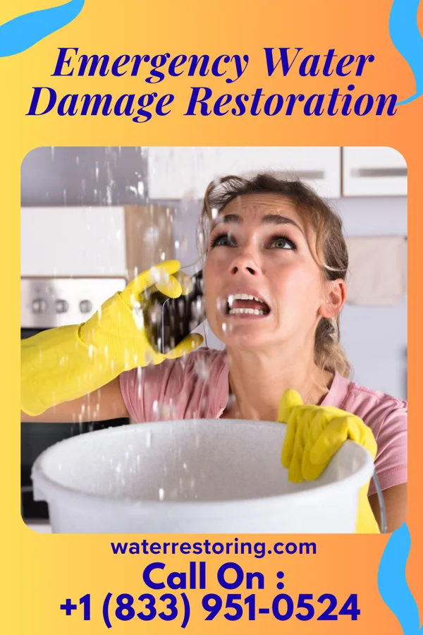 Emergency Water Damage Restoration in Columbus, KY