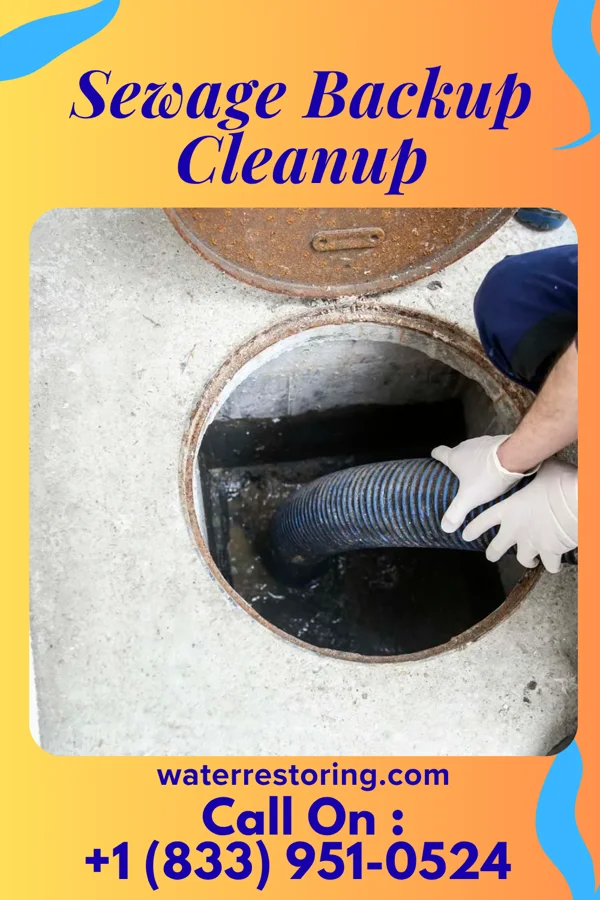 Sewage Backup Cleanup in Columbus, KY