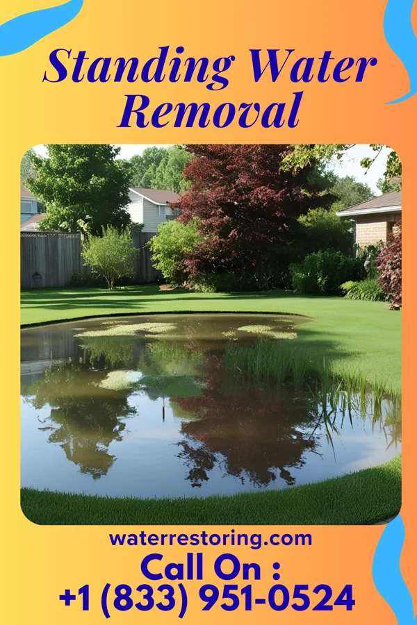 Standing Water Removal in Columbus, KY